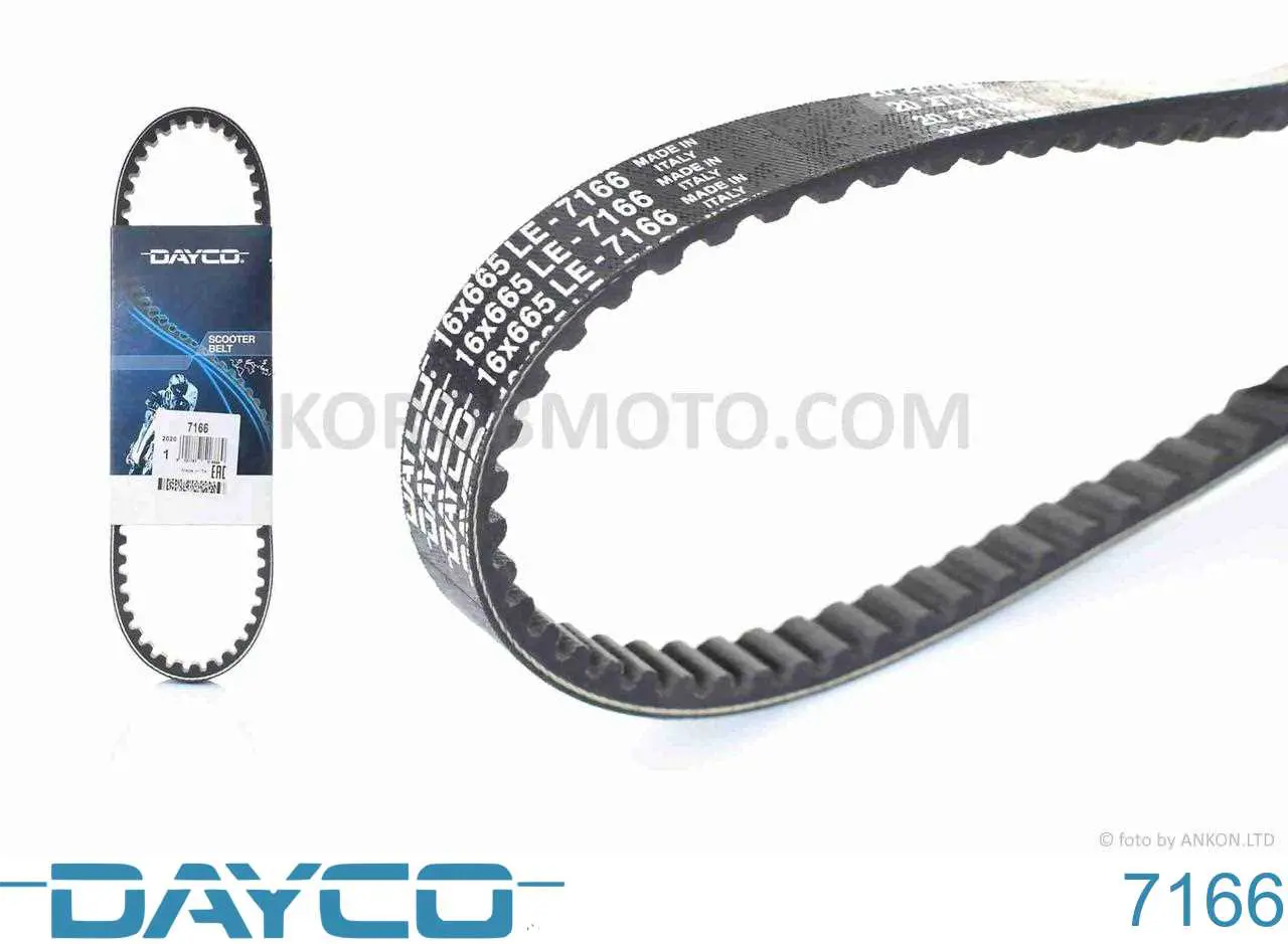 7166 Dayco Correia de variador