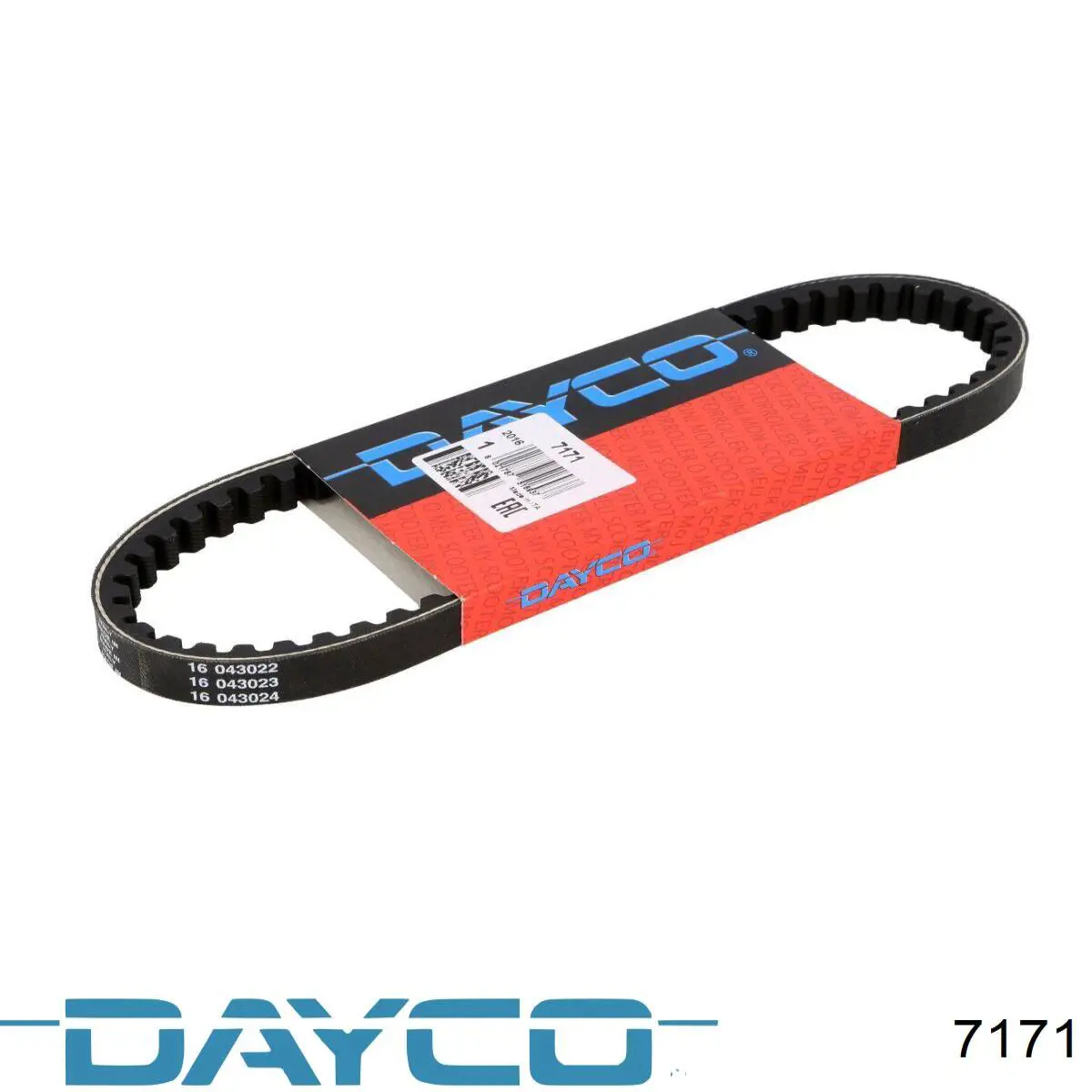7171 Dayco Correia de variador