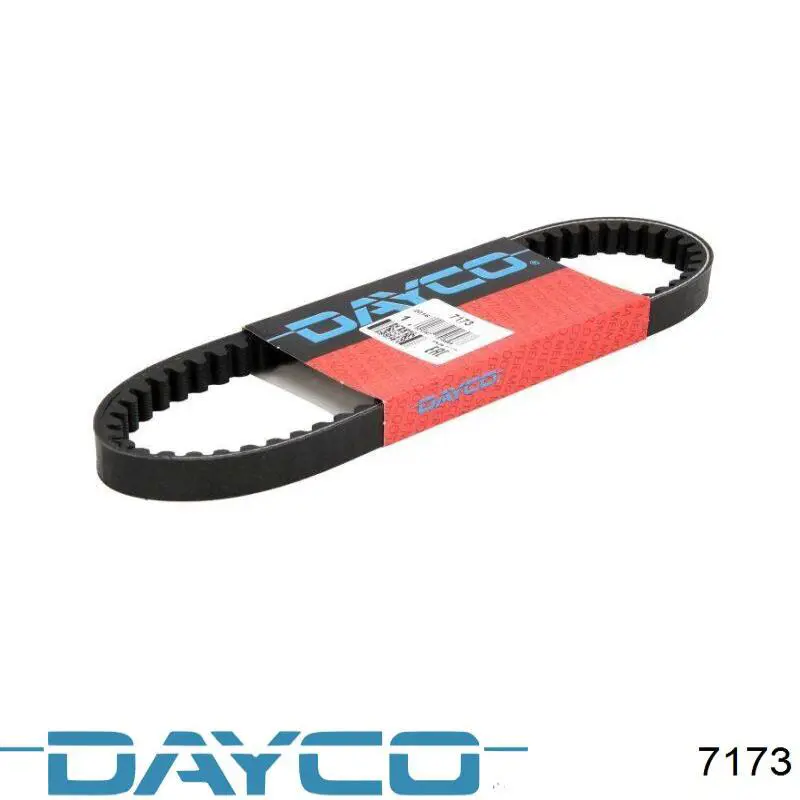 7173 Dayco Correia de variador