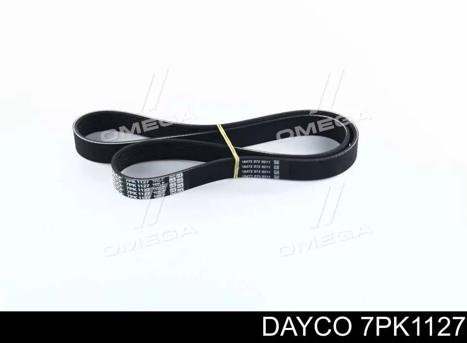 7PK1127 Dayco Correia dos conjuntos de transmissão