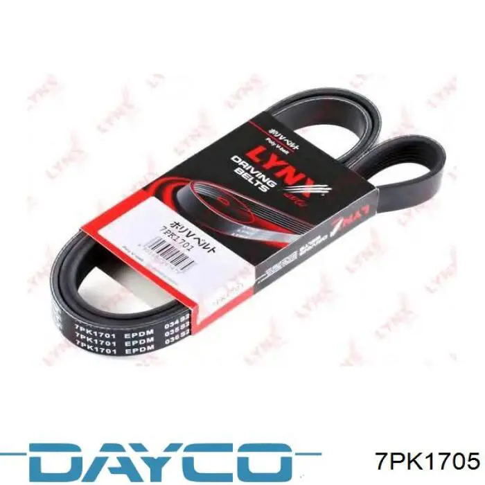 Compre 7PK1705 Dayco Correia dos conjuntos de transmissão