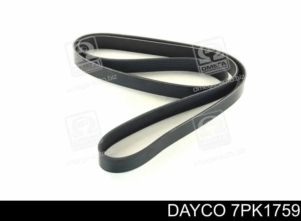 7PK1759 Dayco Correia dos conjuntos de transmissão