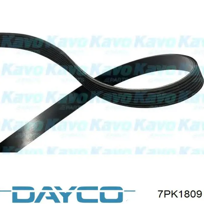 7PK1809 Dayco Correia dos conjuntos de transmissão