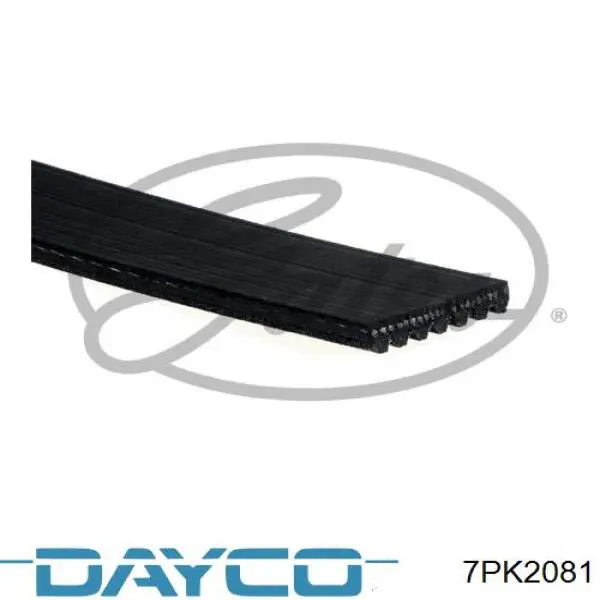 7PK2081 Dayco Correia dos conjuntos de transmissão