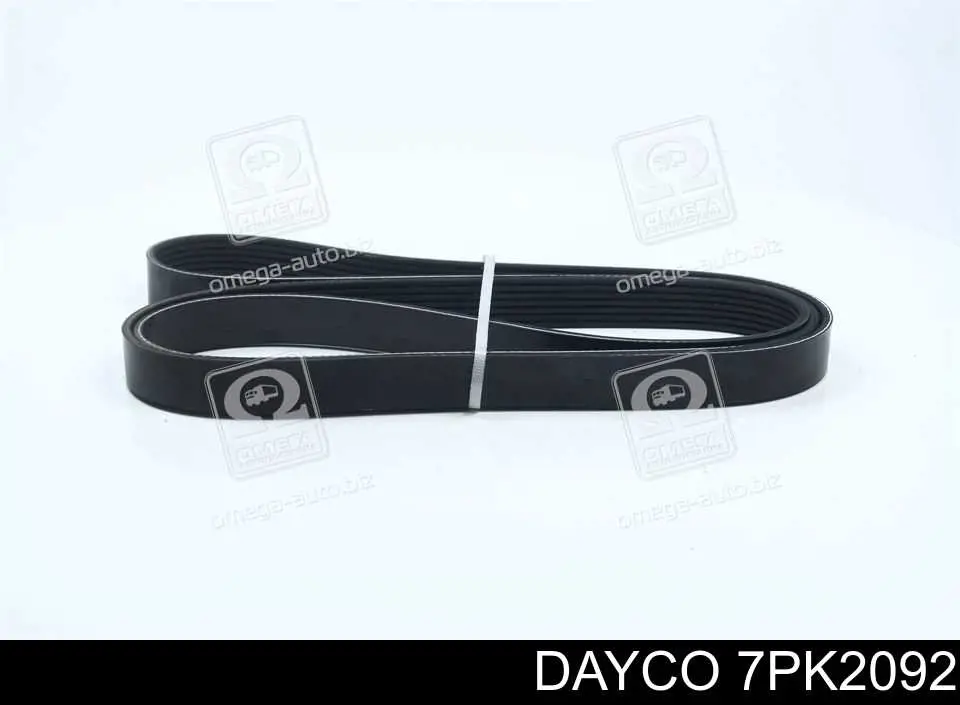 7PK2092 Dayco Correia dos conjuntos de transmissão
