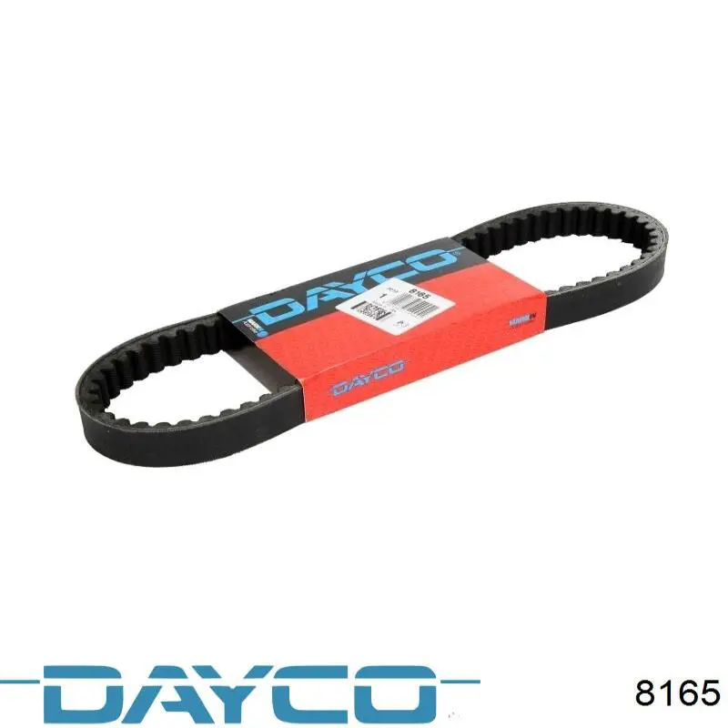 8165 Dayco Correia de variador