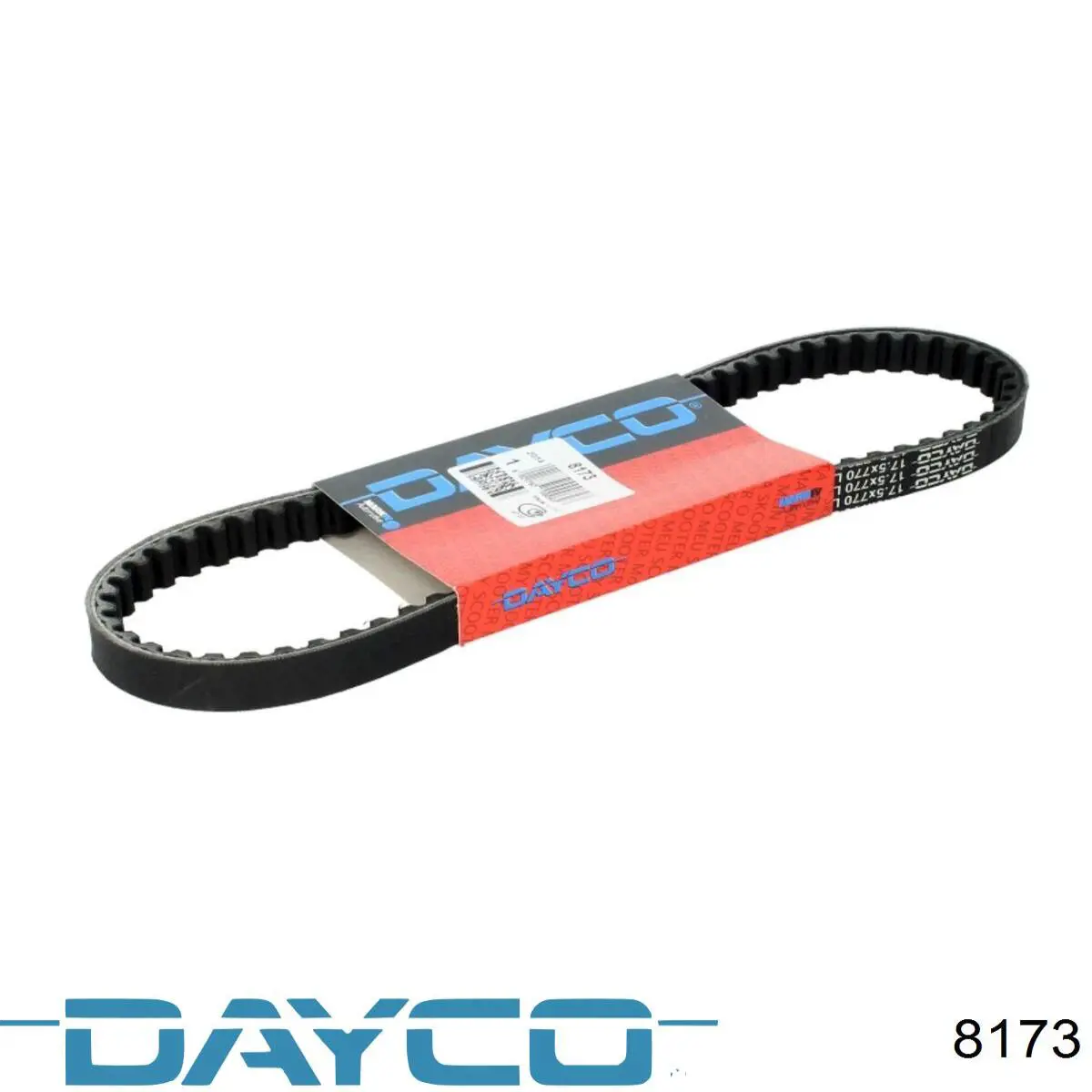8173 Dayco Correia de variador
