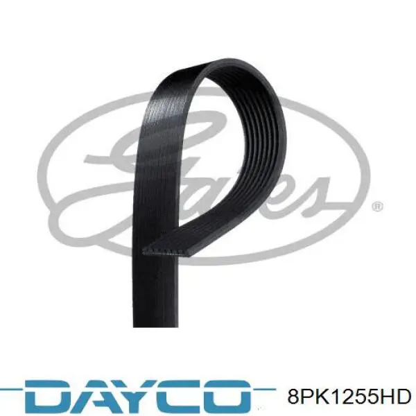8PK1255HD Dayco Correia dos conjuntos de transmissão