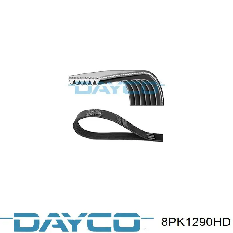 8PK1290HD Dayco Correia dos conjuntos de transmissão