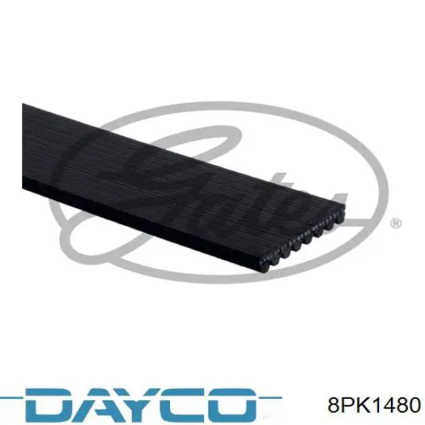 Compre 8PK1480 Dayco Correia dos conjuntos de transmissão