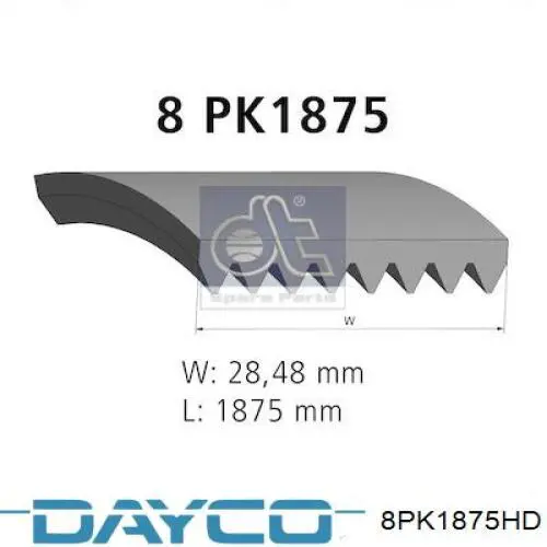 Correia dos conjuntos de transmissão Dayco 8PK1875HD preço, a partir de 30,49 USD