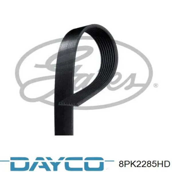 8PK2285HD Dayco Correia dos conjuntos de transmissão