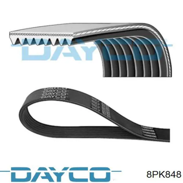 8PK848 Dayco Correia dos conjuntos de transmissão