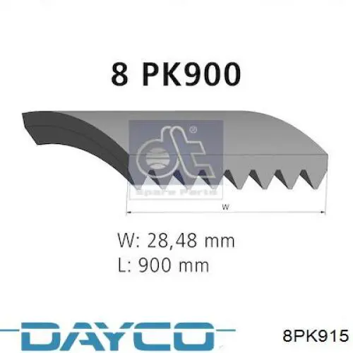 8PK915 Dayco Correia dos conjuntos de transmissão