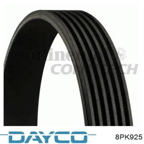 8PK925 Dayco Correia dos conjuntos de transmissão