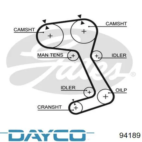 Correia do mecanismo de distribuição de gás Dayco 94189 preço, a partir de 35,90 USD