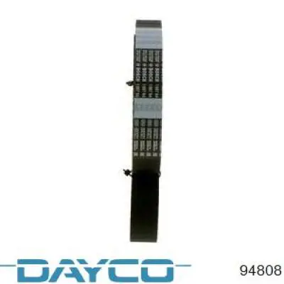 Compre 94808 Dayco Correia do mecanismo de distribuição de gás