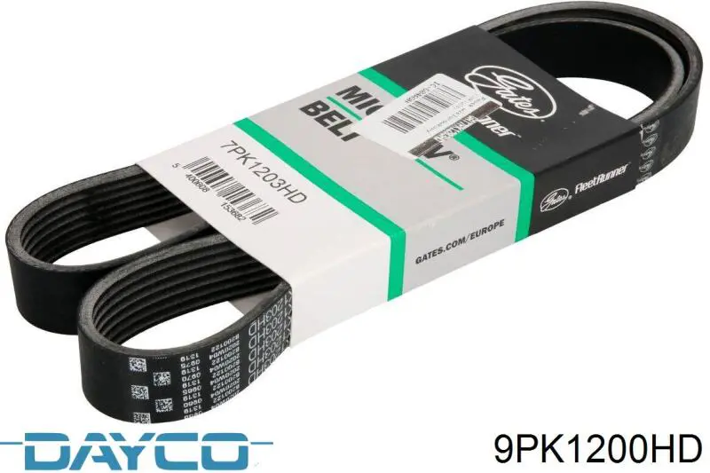 9PK1200HD Dayco Correia dos conjuntos de transmissão