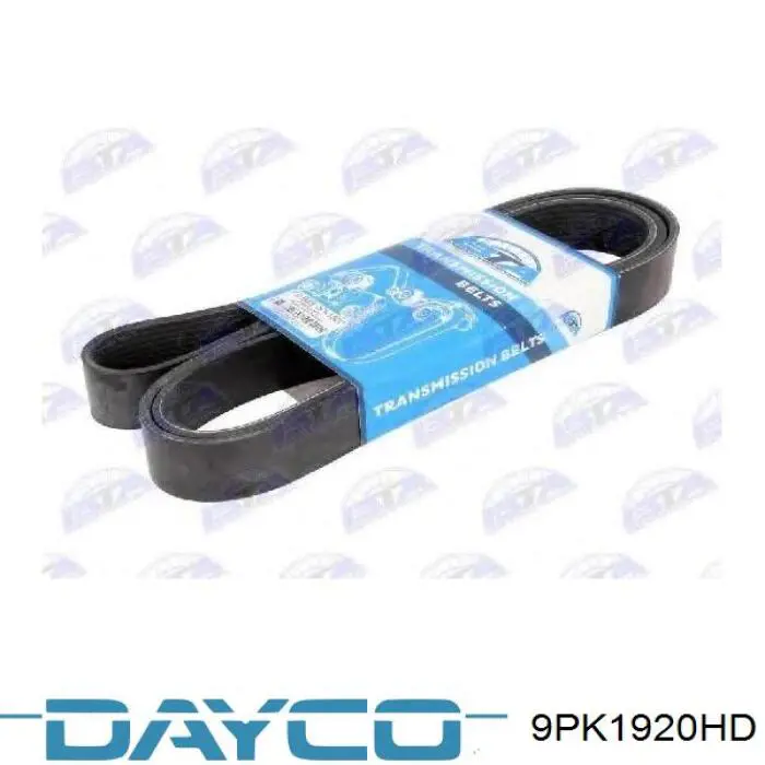 Compre 9PK1920HD Dayco Correia dos conjuntos de transmissão