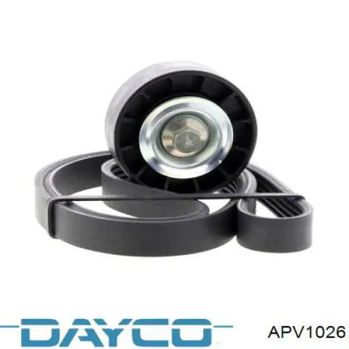 Compre APV1026 Dayco Rolo de reguladora de tensão da correia de transmissão