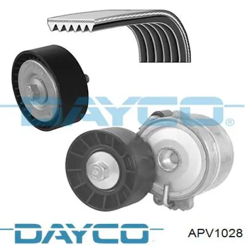 Compre APV1028 Dayco Rolo de reguladora de tensão da correia de transmissão