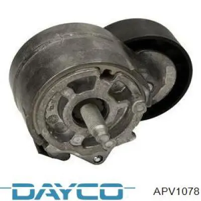 Compre APV1078 Dayco Reguladora de tensão da correia de transmissão