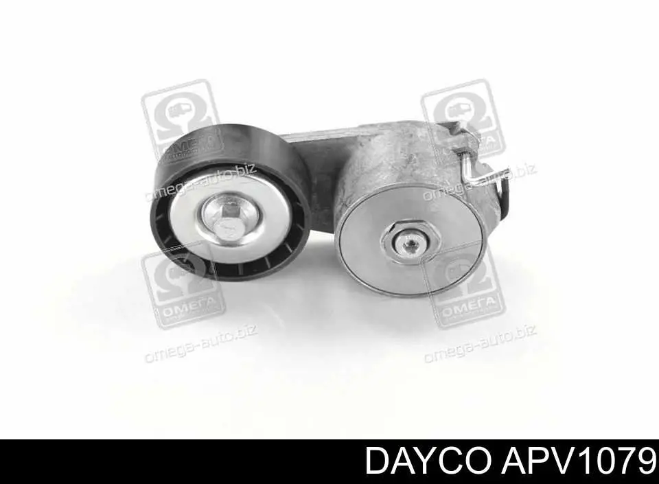 APV1079 Dayco Reguladora de tensão da correia de transmissão