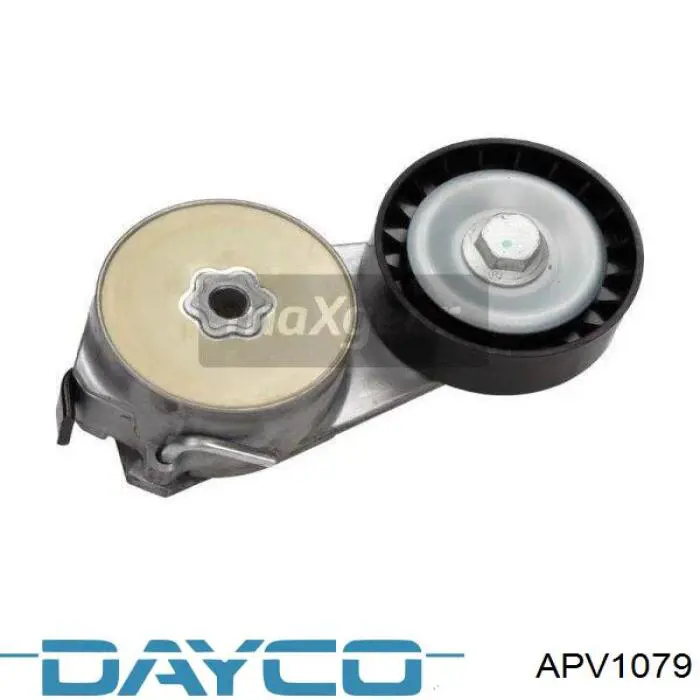 Reguladora de tensão da correia de transmissão Dayco APV1079 preço, a partir de 32,69 USD