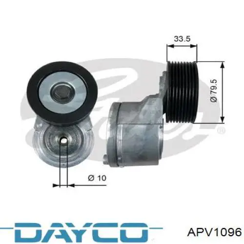 Compre APV1096 Dayco Reguladora de tensão da correia de transmissão
