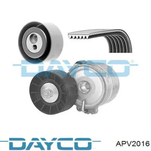 Compre APV2016 Dayco Rolo parasita da correia de transmissão