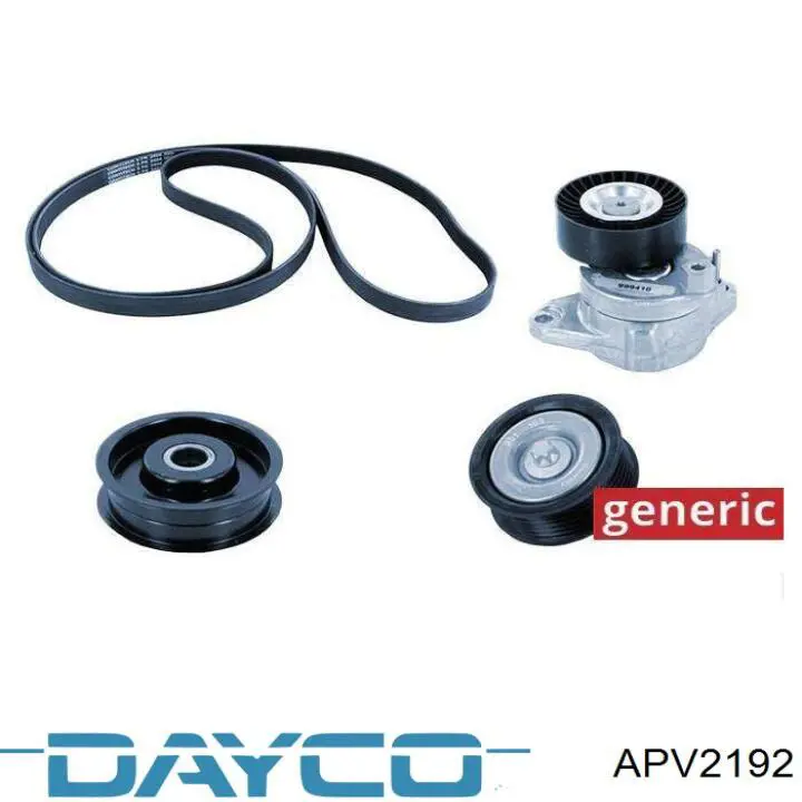 Compre APV2192 Dayco Rolo parasita da correia de transmissão