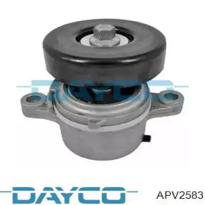 APV2583 Dayco Reguladora de tensão da correia de transmissão