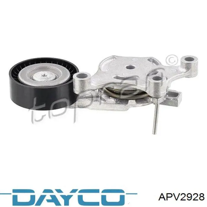 Compre APV2928 Dayco Reguladora de tensão da correia de transmissão