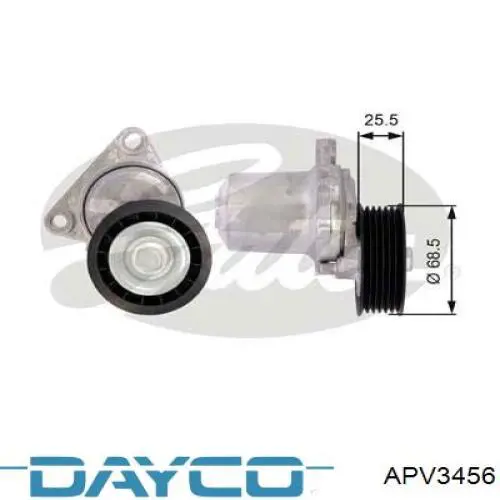 APV3456 Dayco Reguladora de tensão da correia de transmissão