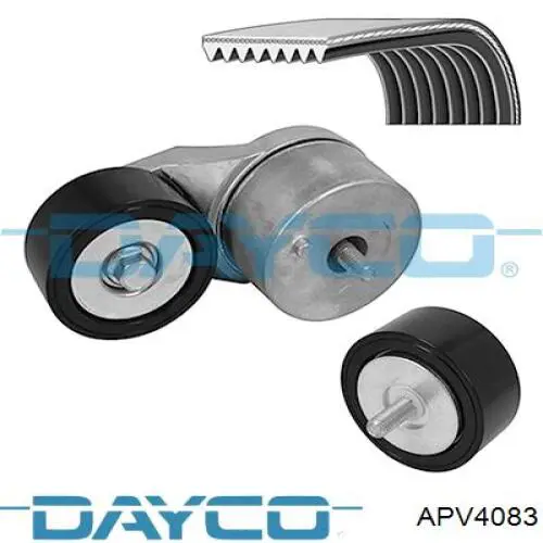 Compre 500552 Caffaro Rolo parasita da correia de transmissão