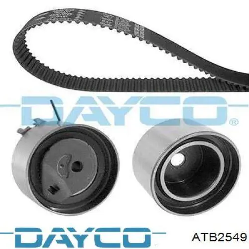 Compre ATB2549 Dayco Rolo parasita da correia do mecanismo de distribuição de gás