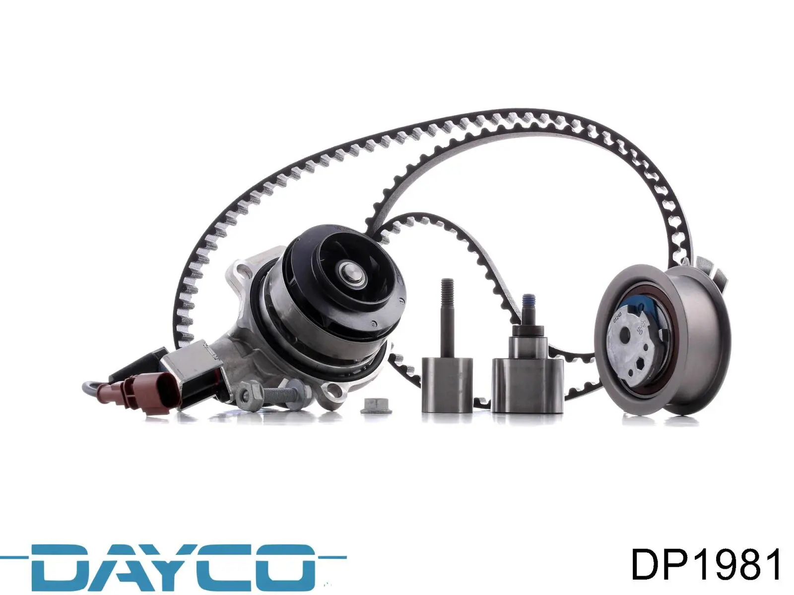 Compre DP1981 Dayco Bomba de água (bomba) de esfriamento