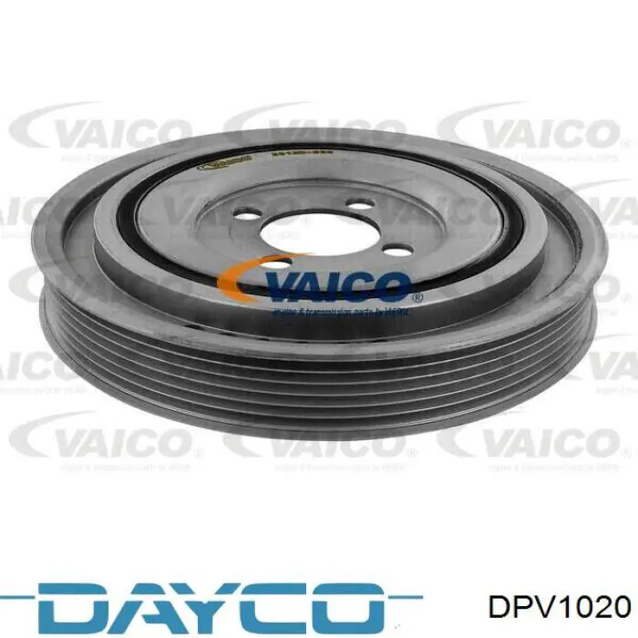 Compre DPV1020 Dayco Polia de cambota