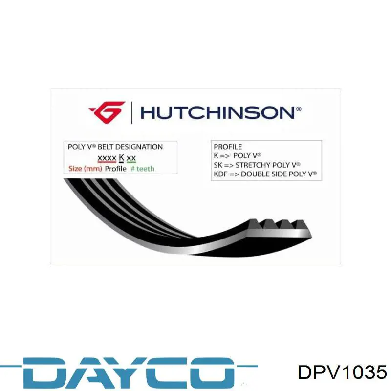 Polia de cambota DPV1035 Dayco