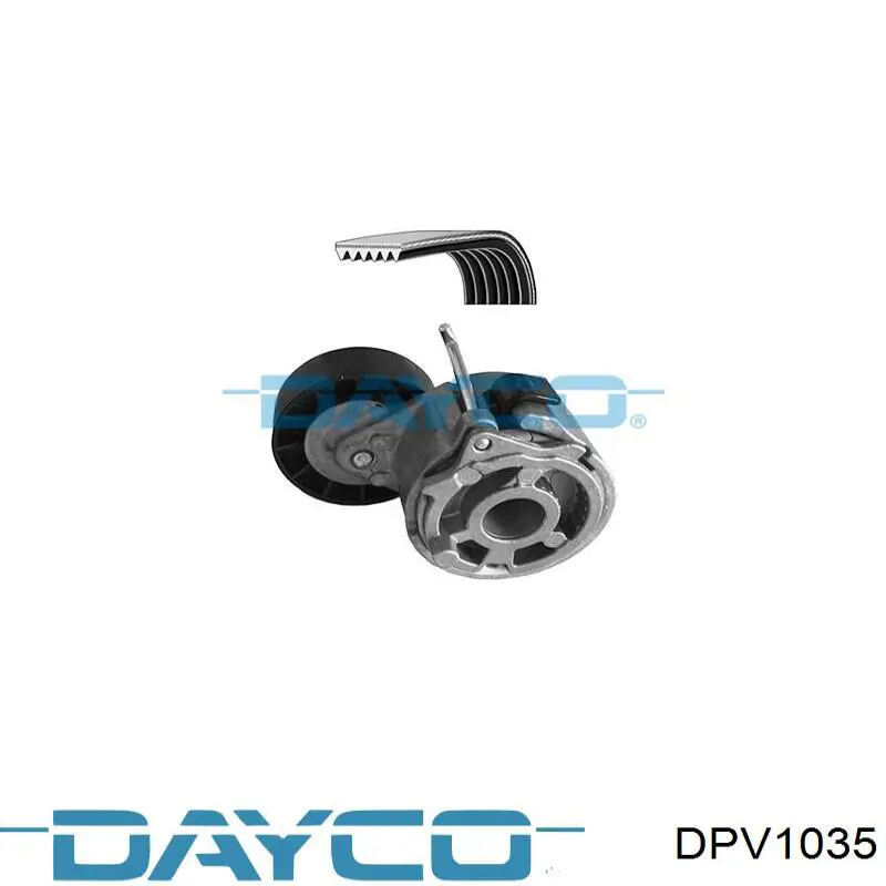 Compre DPV1035 Dayco Polia de cambota