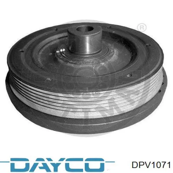 Compre DPV1071 Dayco Polia de cambota