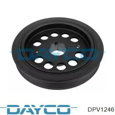 Polia de cambota Dayco DPV1246 preço, a partir de 64,81 USD