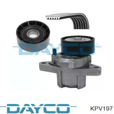 Compre KPV197 Dayco Correia dos conjuntos de transmissão, kit