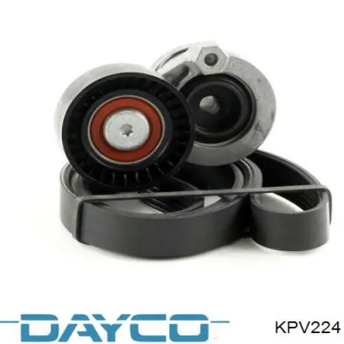 Compre KPV224 Dayco Correia dos conjuntos de transmissão, kit