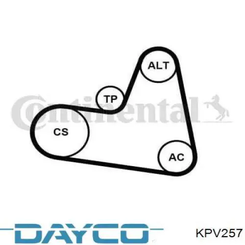 Compre 6PK962K1 Continental/Siemens Correia dos conjuntos de transmissão, kit