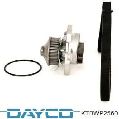 Compre KTBWP2560 Dayco Correia do mecanismo de distribuição de gás, kit