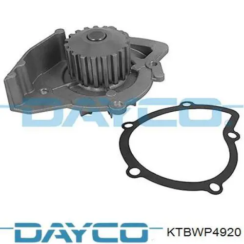Compre KTBWP4920 Dayco Correia do mecanismo de distribuição de gás, kit
