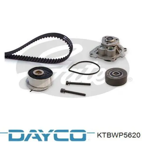 KTBWP5620 Dayco Correia do mecanismo de distribuição de gás, kit