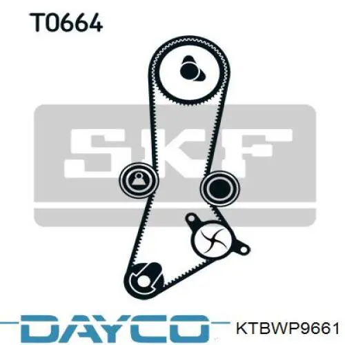 Compre KTBWP9661 Dayco Correia do mecanismo de distribuição de gás, kit