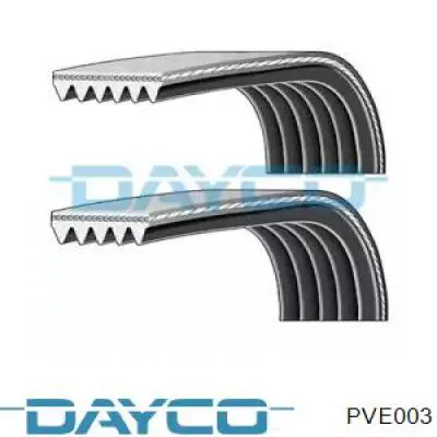 Compre PVE003 Dayco Correia dos conjuntos de transmissão, kit